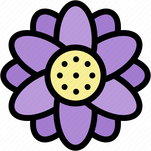 Aster, flowers, plant, botanical, blossom, petals, nature icon - Download on Iconfinder