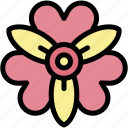 alstroemeria, botanical, gardening, bloom, blossom, petals, flower, nature