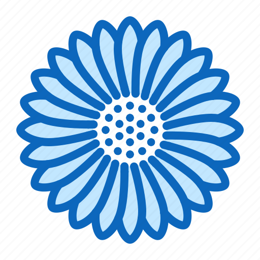 Aster, blossom, flower icon - Download on Iconfinder