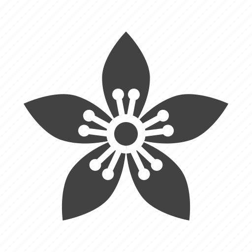 Blossom, flower, hypericum icon - Download on Iconfinder
