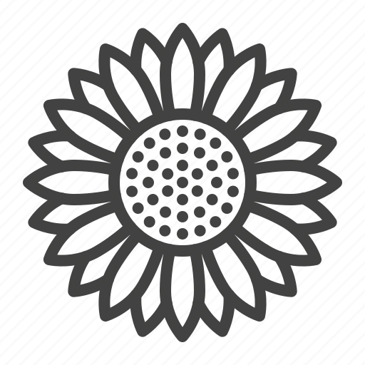 Download Sunflower Outline Picture