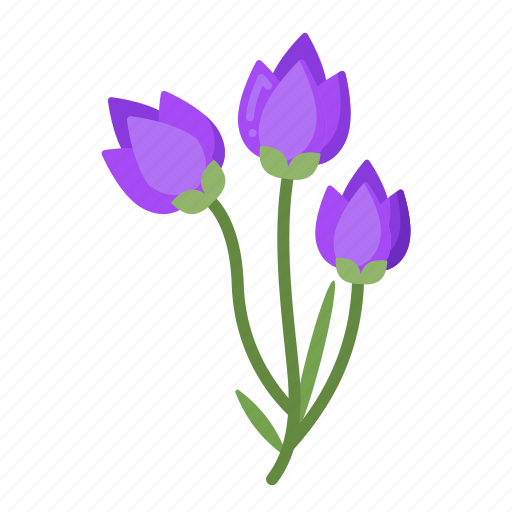Bluebell, flower, blossom, plant icon - Download on Iconfinder