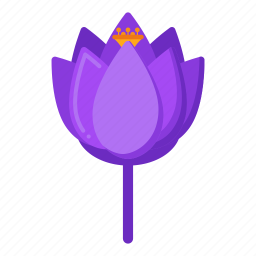Crocus, flower, blossom, nature icon - Download on Iconfinder
