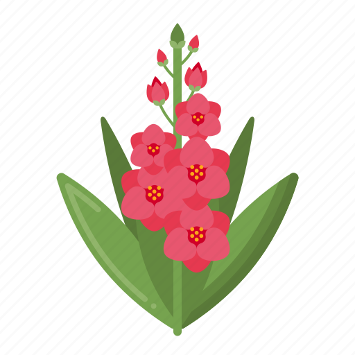 Gladiolus, flower, plant, nature icon - Download on Iconfinder