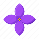 lilac, flower, plant, nature