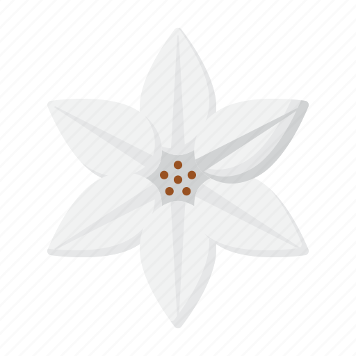 Lily, flower, plant, nature icon - Download on Iconfinder