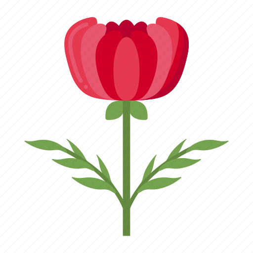 Peony, flower, plant, nature icon - Download on Iconfinder