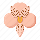 peruvian, lily, flower, plant