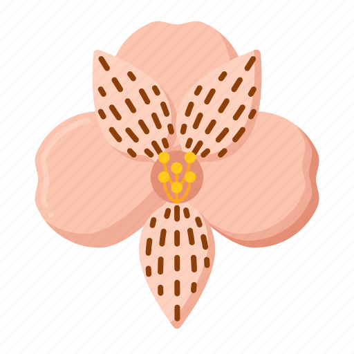 Peruvian, lily, flower, plant icon - Download on Iconfinder
