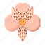 peruvian, lily, flower, plant 