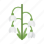 snowdrop, flower, plant, nature 