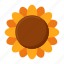 sunflower, flower, blossom, spring 