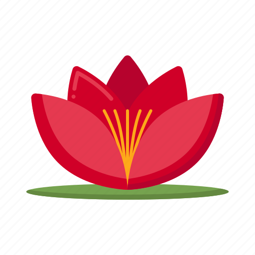 Water, lily, flower, plant icon - Download on Iconfinder