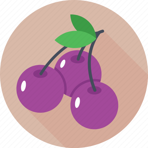Bunch of grapes, food, fruit, grapes, organic icon - Download on Iconfinder