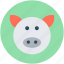 animal, pet pig, pig, pig face, piglet 