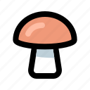 cooking, food, fungal, fungus, gastronomy, mushroom, mushrooms