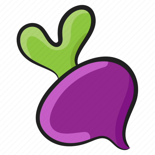 Food, natural diet, root vegetable, turnip, vegetable icon - Download on Iconfinder