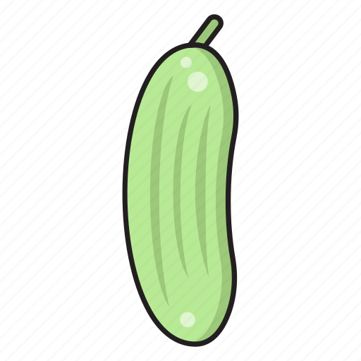 Cucumber, food, healthy, salad, vegetable icon - Download on Iconfinder