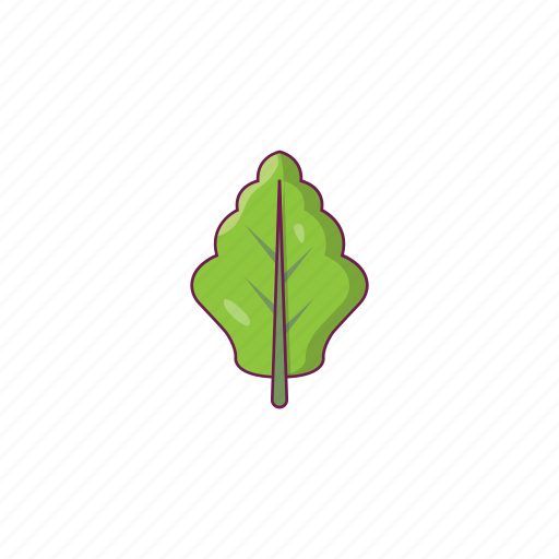 Food, healthy, leaf, oak, salad icon - Download on Iconfinder