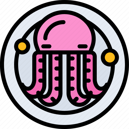 Octopus, plate, food, restaurant, cooking icon - Download on Iconfinder