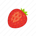 fruit, strawberry
