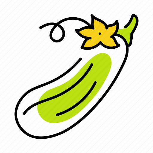 Cucurbita pepo, zucchini, courgette, vegetable, summer squash icon - Download on Iconfinder