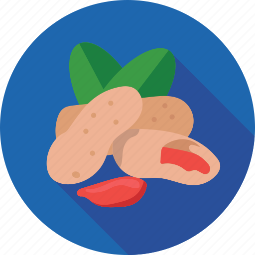 Dry fruit, food, groundnut, nut, peanut icon - Download on Iconfinder