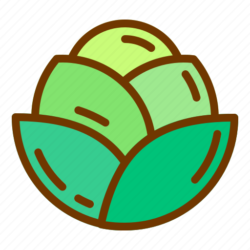 Cabbage, diet, health, vegan, vegetable icon - Download on Iconfinder