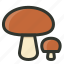 boletus, food, fungi, mushrooms 