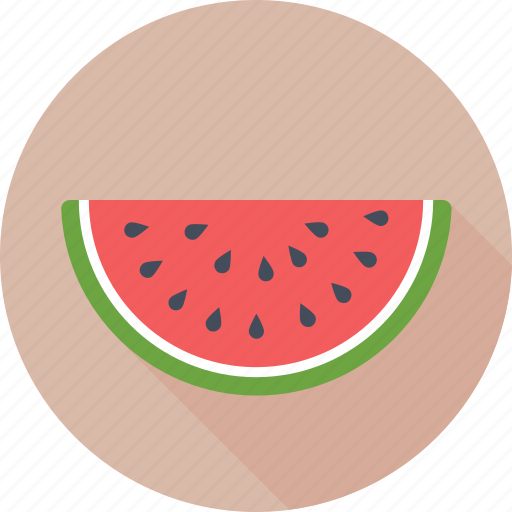 Cantaloupe, food, fruit, tropical, watermelon icon - Download on Iconfinder