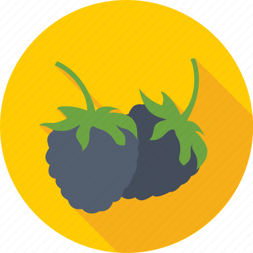 Berry, blueberry, diet, food, fruit icon - Download on Iconfinder
