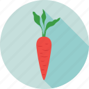 carrot, diet, food, root vegetable, vegetable