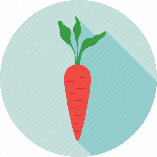 Carrot, diet, food, root vegetable, vegetable icon - Download on Iconfinder