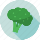 broccoli, cauliflower, diet, food, vegetable