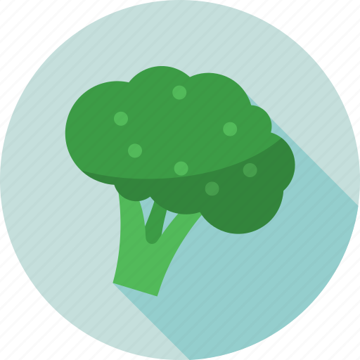 Broccoli, cauliflower, diet, food, vegetable icon - Download on Iconfinder