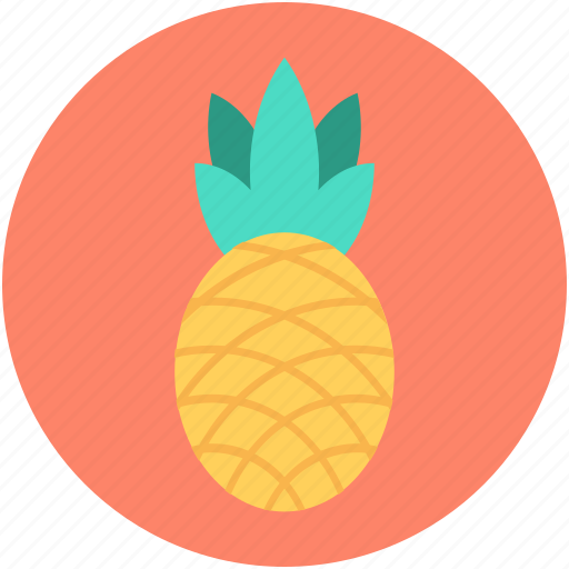 Ananas, ananas comosus, organic, pineapple, tropical icon - Download on Iconfinder