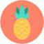 ananas, ananas comosus, organic, pineapple, tropical 
