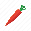 3d, carrot, vector, illustration, set, vegetable