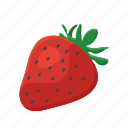 3d, strawberry, vector, flat, illustration, set