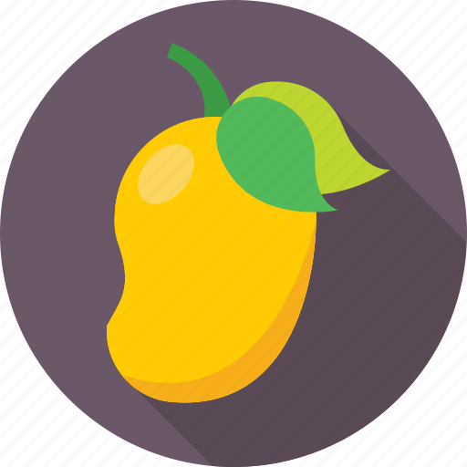 Fruit, juicy, mango, nutrition, stone fruit icon - Download on Iconfinder