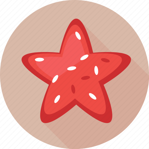 Animal, fish, sea star, seafood, starfish icon - Download on Iconfinder