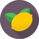citrus fruit, food, fruit, lemon, lime 