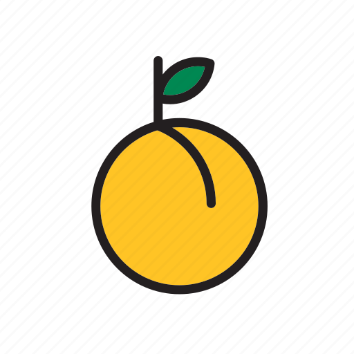 Food, fruit, apricot, peach icon - Download on Iconfinder