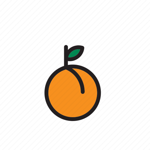 Food, fruit, apricot, peach icon - Download on Iconfinder
