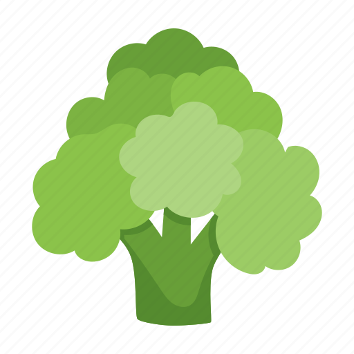Food, broccoli, vegetable icon - Download on Iconfinder