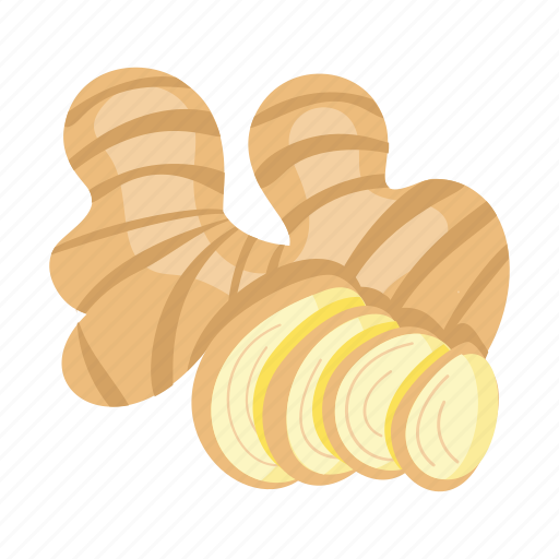 Food, ginger, vegetable icon - Download on Iconfinder