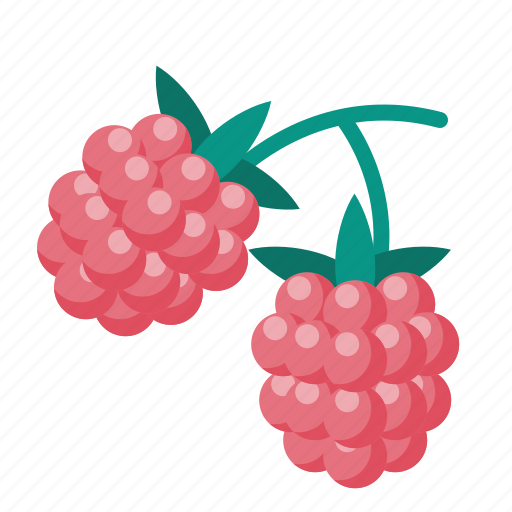Berry, food, raspberries icon - Download on Iconfinder