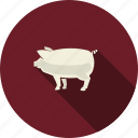 food, restaurant, cooking, meat, pork, pig, animal