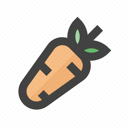 Beverages, carrot, drink, food, harvest, healthy, vegetable icon - Download on Iconfinder