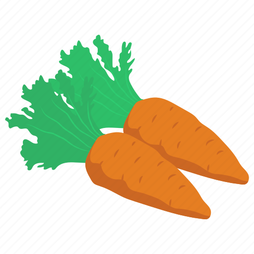 Diet food, food, organic carrots, root vegetable, vegetable icon - Download on Iconfinder